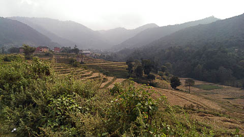 Terraced fields just south of Bhaktapur