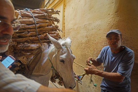 Fes, Morocco